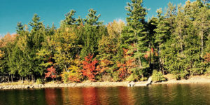 lake in fall