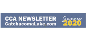 newsletter banner