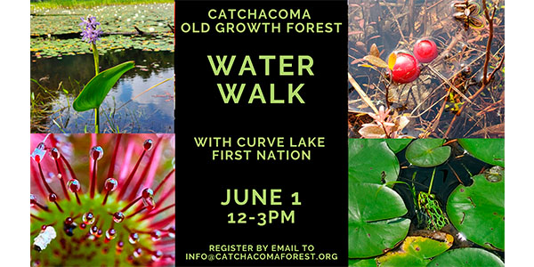 Water Walk graphic