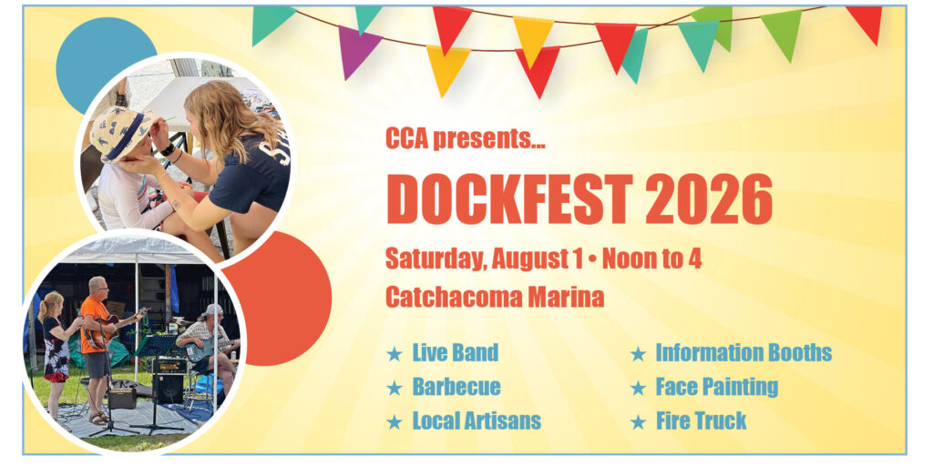 DockFest ad