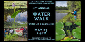 Water Walk poster