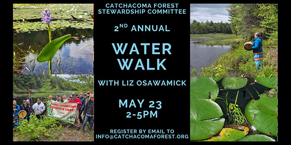Water Walk poster